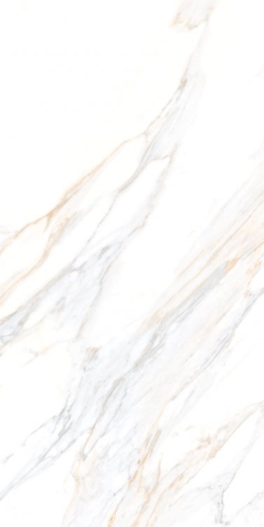 Aurum Calacatta Polished 24 x 48